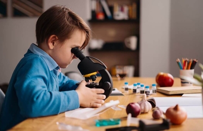 Máster en Neuroeducación: Inteligencia Emocional y Aprendizaje